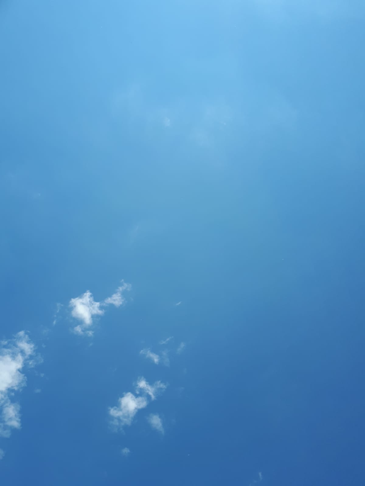 WhatsApp Image 2020 05 17 at 13.01.48